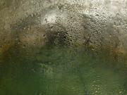 P1010544-8