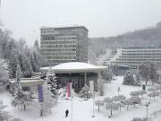 IMG0884JPG2-1