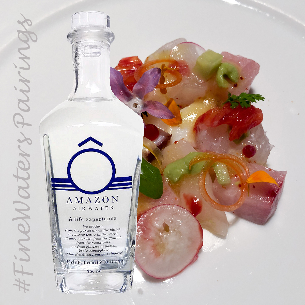 scallops-oamazon